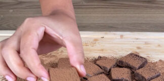 Trufa caseira de chocolate com 3 ingredientes