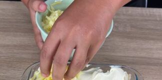 Lasanha fácil e rápida com requeijão